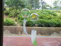 風鈴-thumb-120xauto-6630