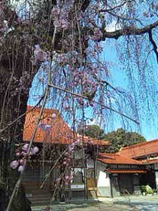 160328_102511