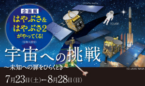 2016natuyasumi1