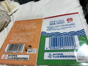 クリアファイル裏