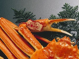 単品：ﾀｸﾞｱｯﾌﾟ