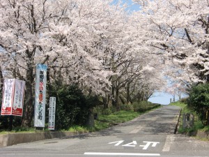 CIMG1049