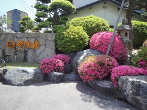 DSC00265