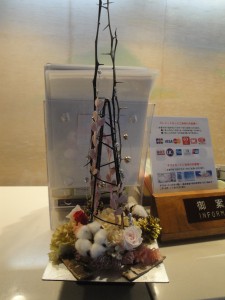 DSC00450