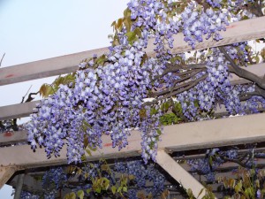 DSC01095