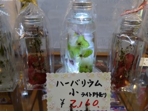 DSC01153