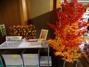 DSC01939