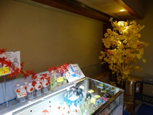 DSC03070
