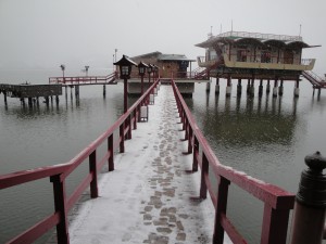 DSC03545