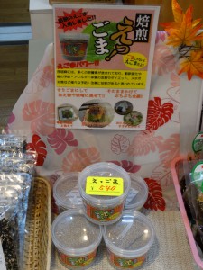 DSC04241