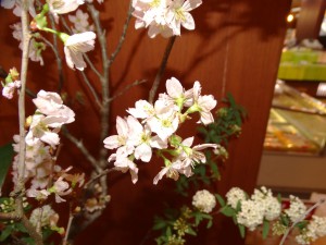 DSC04935