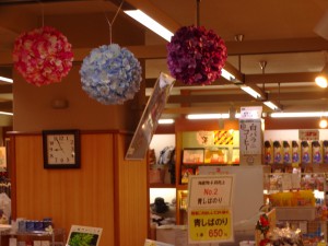 DSC07451