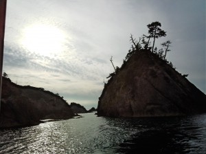 DSC_0603