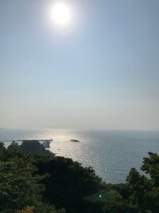 IMG_1160