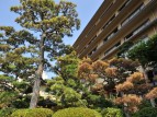 中庭より対水閣