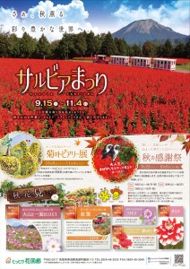 fb980c8ec0456445a96c22d386c19291