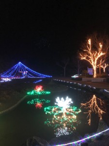 image1 (11)