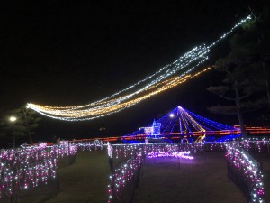 image2 (9)