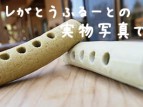 jitsubutu
