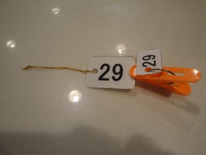 kutu1