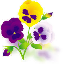 yjimage
