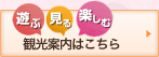 観光案内はこちら