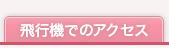 飛行機でのアクセス