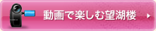 Ŋyޖ]ΘO