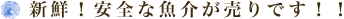 ȑ嗱݂̂̂܂I