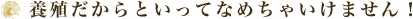 {BƂĂȂ߂Ⴂ܂II