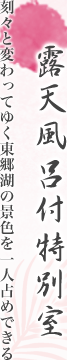 IVCtʎ