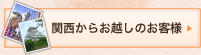 ֐炨ẑql
