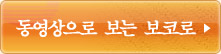 동영상으로 보는 보코로