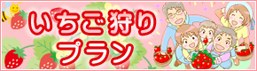 イチゴ狩りプラン